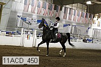 11acd_450 proof