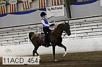 11acd_454 proof