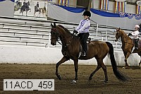 11acd_459 proof