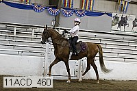 11acd_460 proof