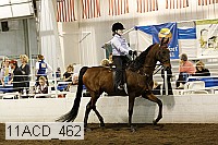 11acd_462 proof