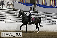 11acd_466 proof