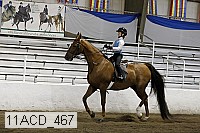 11acd_467 proof