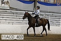 11acd_469 proof