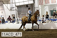 11acd_471 proof
