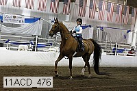 11acd_476 proof
