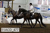 11acd_477 proof