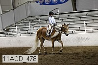 11acd_478 proof