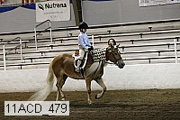 11acd_479 proof