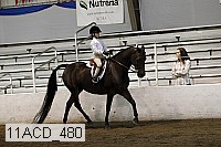 11acd_480 proof