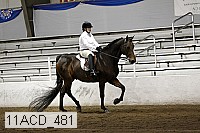 11acd_481 proof