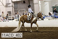 11acd_482 proof