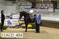 11acd_484 proof