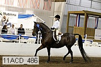 11acd_486 proof