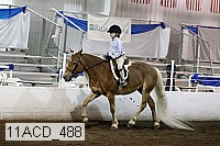 11acd_488 proof