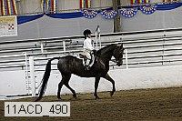 11acd_490 proof