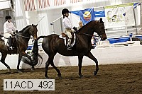 11acd_492 proof