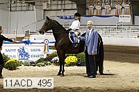 11acd_495 proof