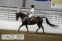 11acd_501 proof