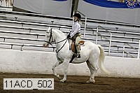 11acd_502 proof