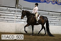 11acd_503 proof