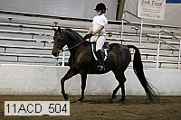 11acd_504 proof