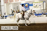11acd_505 proof