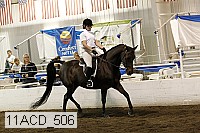 11acd_506 proof
