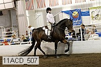 11acd_507 proof