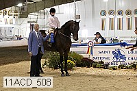 11acd_508 proof
