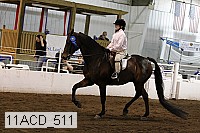11acd_511 proof