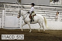 11acd_512 proof