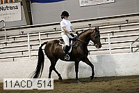11acd_514 proof