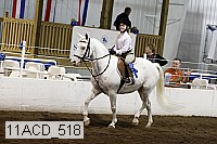 11acd_518 proof
