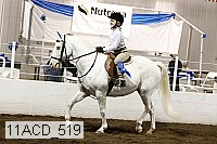 11acd_519 proof
