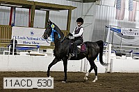 11acd_530 proof