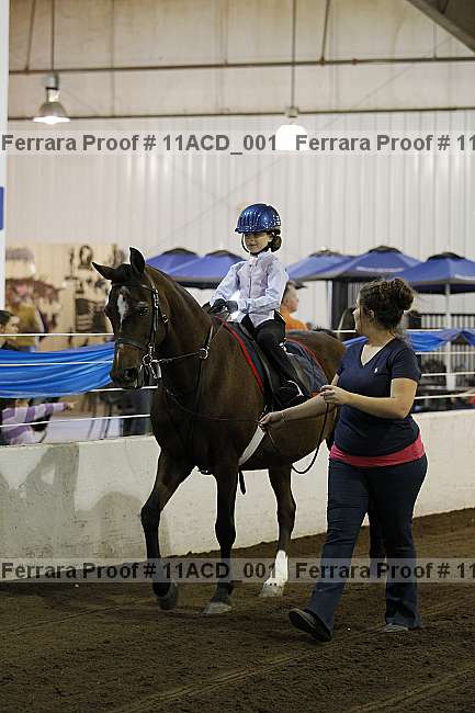 Proof 11acd_001
