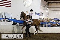 11acd_018 proof