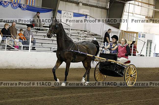 Proof 11acd_031