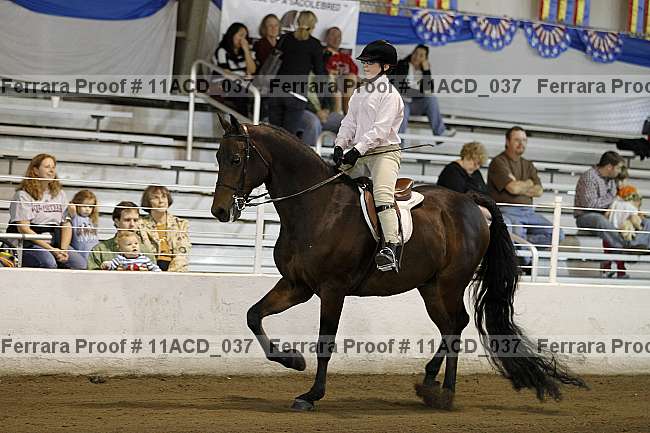 Proof 11acd_037