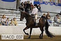 11acd_037 proof