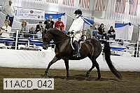 11acd_042 proof