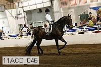 11acd_046 proof