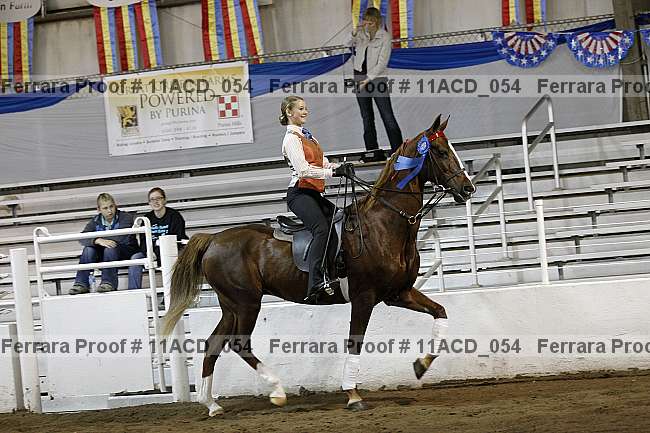 Proof 11acd_054