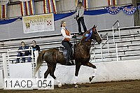 11acd_054 proof