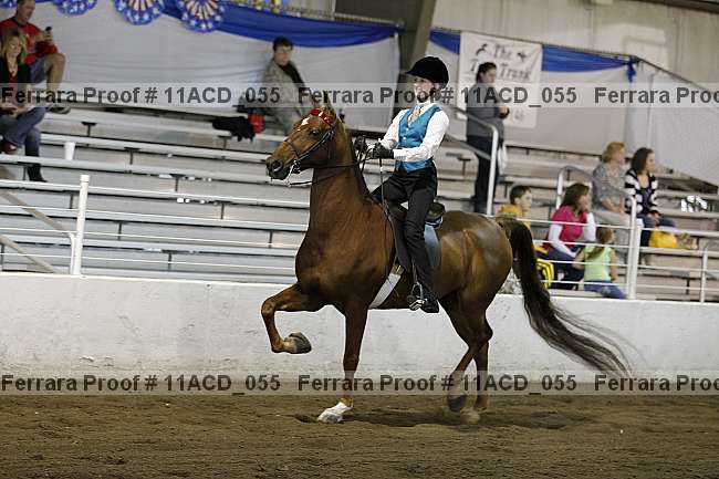 Proof 11acd_055