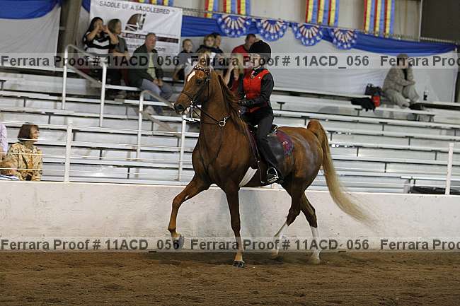 Proof 11acd_056