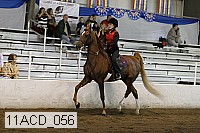 11acd_056 proof