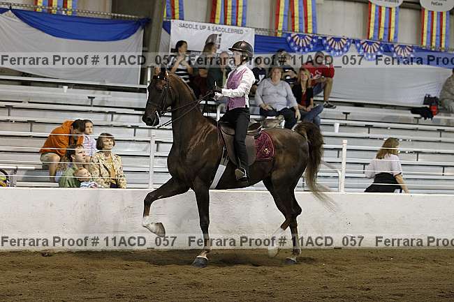 Proof 11acd_057
