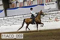 11acd_059 proof